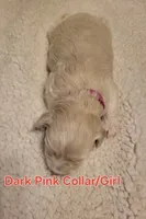 processed/5876469b-9d90-43a3-83e1-c0d4e642cb3c/listing/e51d5588-29e4-4448-a30d-2398bb6d66e0/e4604da8-edcd-49fc-86da-8373ca0678ca