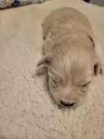 processed/5876469b-9d90-43a3-83e1-c0d4e642cb3c/listing/fedcff42-f09e-4fe7-b6a9-c23a27370eb1/af501d5b-37c7-47db-9ca7-79848aec9d97