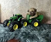 processed/587a83e7-93c2-4038-8a03-c7ab5e11d76f/facility/872a5cee-ef69-4878-a7e9-69de47222167