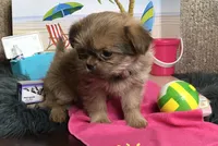 processed/587a83e7-93c2-4038-8a03-c7ab5e11d76f/facility/fff8fd46-164a-456a-a75b-580084920fe8