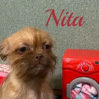 processed/587a83e7-93c2-4038-8a03-c7ab5e11d76f/listing/3079ff01-9859-49eb-a966-da17f147b6b8/0a686e85-6123-4740-a212-8899d1236ee8