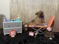 processed/587a83e7-93c2-4038-8a03-c7ab5e11d76f/listing/3079ff01-9859-49eb-a966-da17f147b6b8/6c64a57b-8c40-4884-8265-7952b519b04e