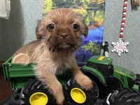 processed/587a83e7-93c2-4038-8a03-c7ab5e11d76f/listing/3079ff01-9859-49eb-a966-da17f147b6b8/6f3de34e-c575-4ff5-9230-b2fda1eea970