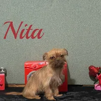 processed/587a83e7-93c2-4038-8a03-c7ab5e11d76f/listing/3079ff01-9859-49eb-a966-da17f147b6b8/6ff3c8ac-b50a-43ff-8583-1e35b74f16ed