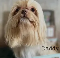 processed/587a83e7-93c2-4038-8a03-c7ab5e11d76f/listing/3079ff01-9859-49eb-a966-da17f147b6b8/87923a35-8b1c-4ba1-8928-2a80f333e951