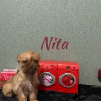 processed/587a83e7-93c2-4038-8a03-c7ab5e11d76f/listing/3079ff01-9859-49eb-a966-da17f147b6b8/c6c0a3dc-693a-46b0-8482-86f759286700