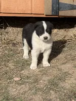 processed/587c34bb-3974-45e5-b18a-c02b478f97b7/listing/61eee60d-22ef-49d4-8e26-2db45b6122f4/1c0e5c75-3753-4b59-add3-a726dd3a1710