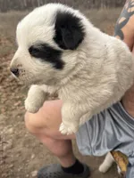 processed/587c34bb-3974-45e5-b18a-c02b478f97b7/listing/88cadb28-8c67-4065-9a5f-ac2220e17d07/9b4754f5-b7d3-4318-b087-3563ff70a18b