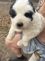 processed/587c34bb-3974-45e5-b18a-c02b478f97b7/listing/88cadb28-8c67-4065-9a5f-ac2220e17d07/c8b61738-b5f0-44cc-b20f-b674437c4c44