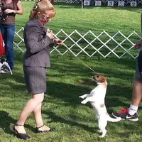 processed/588530c3-644e-448b-9e1e-524f726cbd31/facility/271acef7-3567-4b1c-922e-083be10e786c