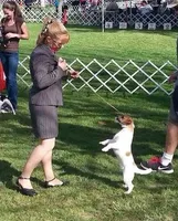 processed/588530c3-644e-448b-9e1e-524f726cbd31/facility/271acef7-3567-4b1c-922e-083be10e786c