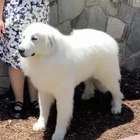 processed/588530c3-644e-448b-9e1e-524f726cbd31/facility/361d2afd-7c1f-4b14-b36d-9726bb751332