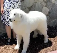 processed/588530c3-644e-448b-9e1e-524f726cbd31/facility/361d2afd-7c1f-4b14-b36d-9726bb751332