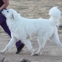 processed/588530c3-644e-448b-9e1e-524f726cbd31/facility/3b1451b2-e6ad-4bc8-b055-7725d12bb3e9