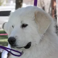 processed/588530c3-644e-448b-9e1e-524f726cbd31/facility/51c10060-f58c-442e-a158-6dc52093a28f