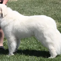 processed/588530c3-644e-448b-9e1e-524f726cbd31/facility/a08dc0d7-8c8e-40fd-bf93-d08543e5ac29