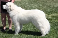 processed/588530c3-644e-448b-9e1e-524f726cbd31/facility/a08dc0d7-8c8e-40fd-bf93-d08543e5ac29