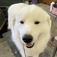 processed/588530c3-644e-448b-9e1e-524f726cbd31/facility/a6dddff6-a4d9-4357-abc7-0f9ad18d8f71