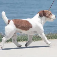 processed/588530c3-644e-448b-9e1e-524f726cbd31/facility/e2ff112d-563d-4c0a-b004-3509d6475924