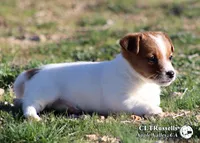 processed/588530c3-644e-448b-9e1e-524f726cbd31/listing/225f1ae0-9882-4c21-a671-178032048d8a/0455ed2e-0d45-4a38-b6f7-6ffdcd5365bb