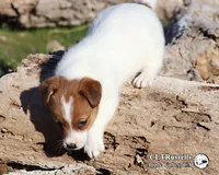 processed/588530c3-644e-448b-9e1e-524f726cbd31/listing/225f1ae0-9882-4c21-a671-178032048d8a/10d57e2e-d1ff-4433-9713-a1c76406c0d9