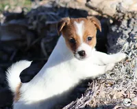 processed/588530c3-644e-448b-9e1e-524f726cbd31/listing/225f1ae0-9882-4c21-a671-178032048d8a/23a972e8-78fb-4b7f-840e-79bd1feaeef8