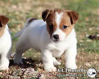 processed/588530c3-644e-448b-9e1e-524f726cbd31/listing/225f1ae0-9882-4c21-a671-178032048d8a/6e502ed8-316a-450b-8af9-253d64f77385