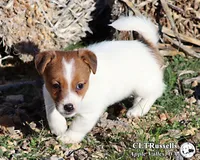 processed/588530c3-644e-448b-9e1e-524f726cbd31/listing/225f1ae0-9882-4c21-a671-178032048d8a/8af751d4-dc4c-4d91-9e67-a67cc3cf8863