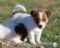 processed/588530c3-644e-448b-9e1e-524f726cbd31/listing/225f1ae0-9882-4c21-a671-178032048d8a/c53f9e1d-bea4-4792-8ba3-e930b8beb80a