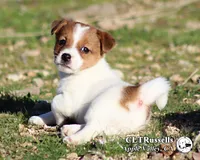 processed/588530c3-644e-448b-9e1e-524f726cbd31/listing/225f1ae0-9882-4c21-a671-178032048d8a/e1abd649-e3ec-4ebd-bcc1-7ae581d0dca9