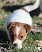 processed/588530c3-644e-448b-9e1e-524f726cbd31/listing/225f1ae0-9882-4c21-a671-178032048d8a/fecbdcc4-0f04-4c78-8613-9cf6db207450