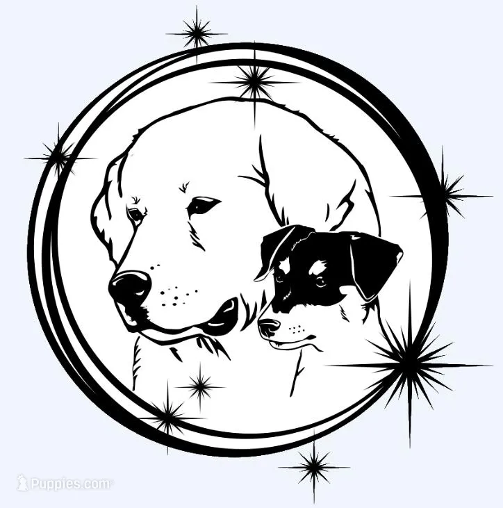 Black Broken Coat Shorty