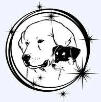 Black Broken Coat Shorty, a female Jack Russell Terrier for sale in Apple Valley, CA – Photo 1 of 7