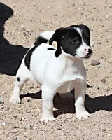 processed/588530c3-644e-448b-9e1e-524f726cbd31/listing/e1040861-3e47-4c69-909f-21831603d5b1/5ed59d2e-4541-4267-a865-88ffd401c88e