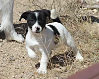 processed/588530c3-644e-448b-9e1e-524f726cbd31/listing/e1040861-3e47-4c69-909f-21831603d5b1/67921fea-1c3c-4608-b016-4b8e378c4c64