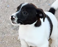 processed/588530c3-644e-448b-9e1e-524f726cbd31/listing/e1040861-3e47-4c69-909f-21831603d5b1/74028d70-ecaf-45e8-bd3c-54b1aa1f55b1