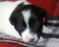 processed/588530c3-644e-448b-9e1e-524f726cbd31/listing/e1040861-3e47-4c69-909f-21831603d5b1/95e2c38f-6a66-40c9-9a5c-01979df79935