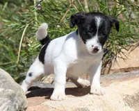 processed/588530c3-644e-448b-9e1e-524f726cbd31/listing/e1040861-3e47-4c69-909f-21831603d5b1/b84b3a42-4971-41a7-a6d5-723d3c4772f0