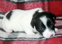 processed/588530c3-644e-448b-9e1e-524f726cbd31/listing/e1040861-3e47-4c69-909f-21831603d5b1/cd27207a-541b-4a5c-8724-24af41bea4ff