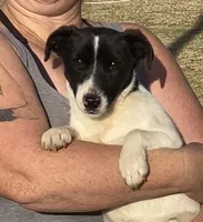 processed/588530c3-644e-448b-9e1e-524f726cbd31/listing/e1040861-3e47-4c69-909f-21831603d5b1/e2448ed1-858c-460d-a62e-f0a42b61c959