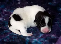 processed/588530c3-644e-448b-9e1e-524f726cbd31/listing/e1040861-3e47-4c69-909f-21831603d5b1/ea78f63b-c29e-4f5f-889b-c8df17d84564