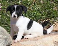 processed/588530c3-644e-448b-9e1e-524f726cbd31/listing/e1040861-3e47-4c69-909f-21831603d5b1/f43f2d32-5816-4f44-b119-a90cdb6c1fc0