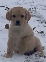 processed/588eb4b5-15d7-402a-bbe6-a0c3980fbba9/listing/f0f2cd77-0ddb-45e1-bc0e-79a3e2b89f33/e6146a3a-6eb6-442c-9d7c-b13ca2033d80