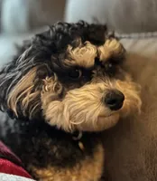 processed/5894cf33-5b49-47d9-a24f-731b258b7418/facility/3a712c56-d193-4f76-b798-20ce9d878db1