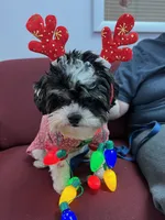 processed/5894cf33-5b49-47d9-a24f-731b258b7418/facility/8e636d89-3a0b-42f9-860f-5b6085967f1c