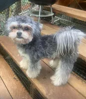 processed/5894cf33-5b49-47d9-a24f-731b258b7418/facility/ab21ee18-cd77-4a69-8d82-ccf23dda27ca