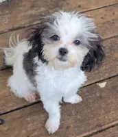 processed/5894cf33-5b49-47d9-a24f-731b258b7418/facility/ec6c0363-ec5a-4775-ac43-f038713820cb