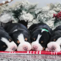 processed/589cc48f-b404-4713-afb8-99658cbc7a20/facility/27e6fd93-a85b-4e70-bc96-d95fdec95402