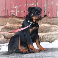 processed/589cc48f-b404-4713-afb8-99658cbc7a20/facility/35530163-288e-4df3-9c40-9660be3eab69