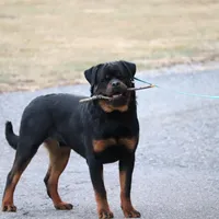 processed/589cc48f-b404-4713-afb8-99658cbc7a20/facility/60d8444a-43a4-4f03-84e7-fba65c1b9cfb